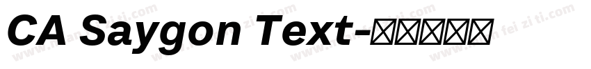 CA Saygon Text字体转换